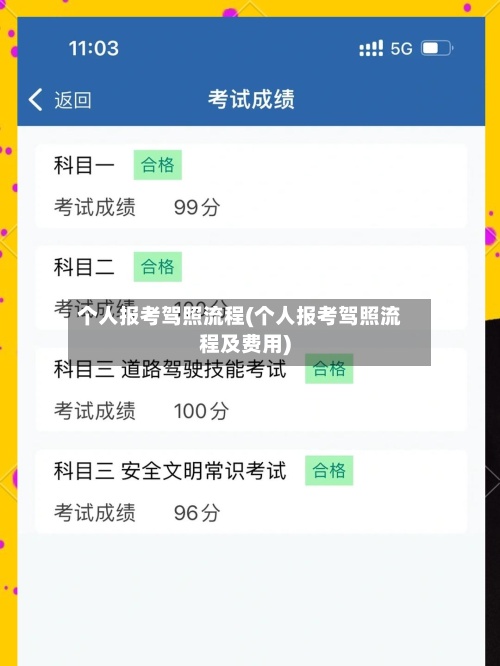 个人报考驾照流程(个人报考驾照流程及费用)