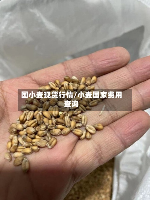 国小麦现货行情/小麦国家费用
查询