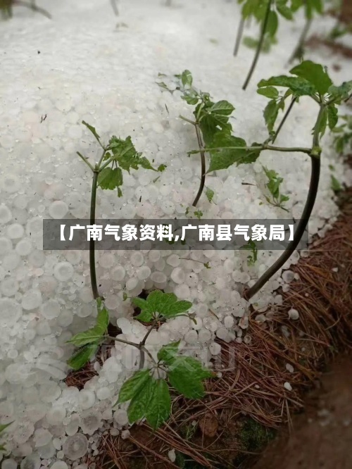 【广南气象资料,广南县气象局】