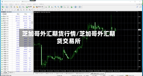 芝加哥外汇期货行情/芝加哥外汇期货交易所-第3张图片