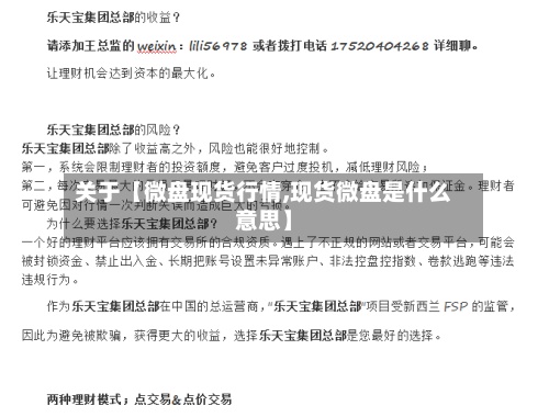 关于【微盘现货行情,现货微盘是什么意思】-第2张图片