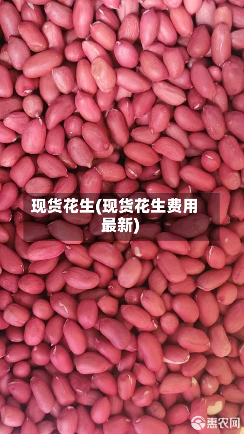 现货花生(现货花生费用
最新)-第2张图片
