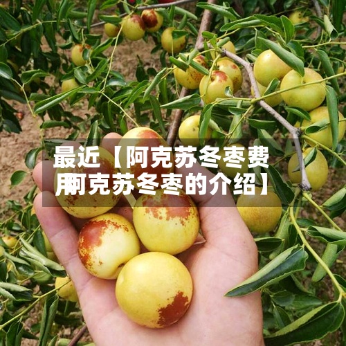 最近【阿克苏冬枣费用
,阿克苏冬枣的介绍】