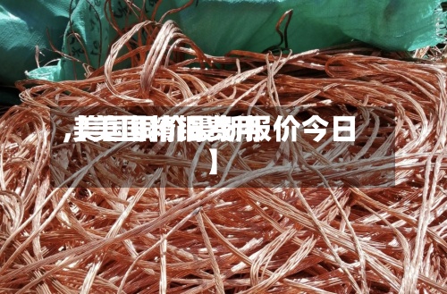 【美国精铜费用
,美国铜价最新报价今日】-第2张图片