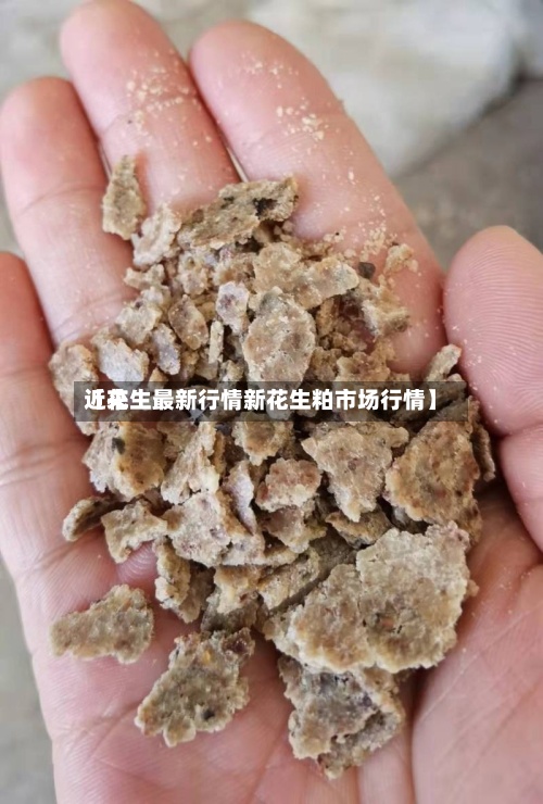 近来
【花生最新行情新花生粕市场行情】-第3张图片