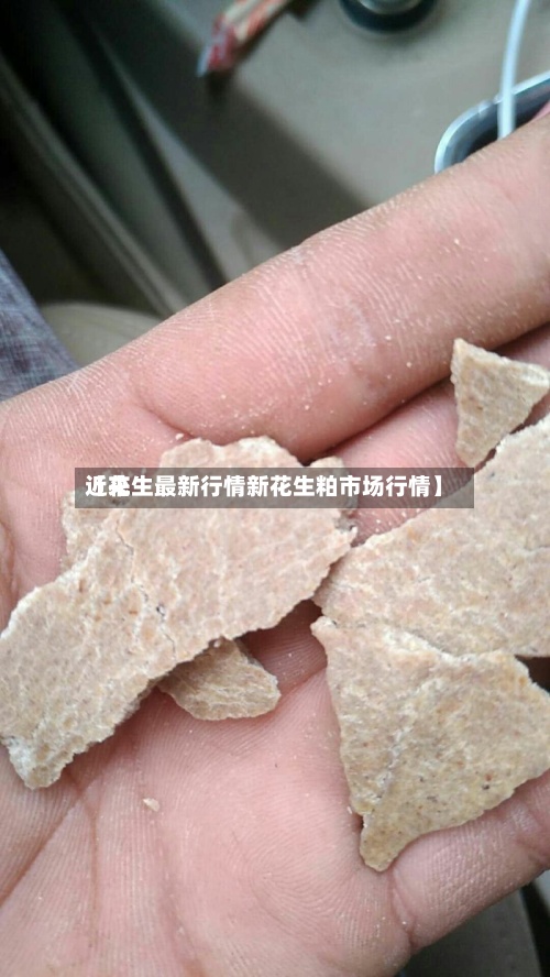近来
【花生最新行情新花生粕市场行情】-第2张图片