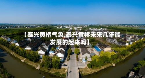 【泰兴黄桥气象,泰兴黄桥未来几年能发展的起来吗】-第2张图片