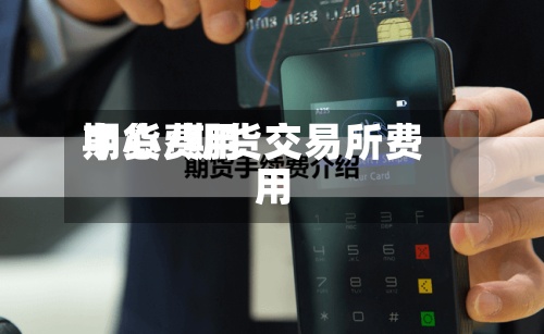 期货费用
中心/期货交易所费用