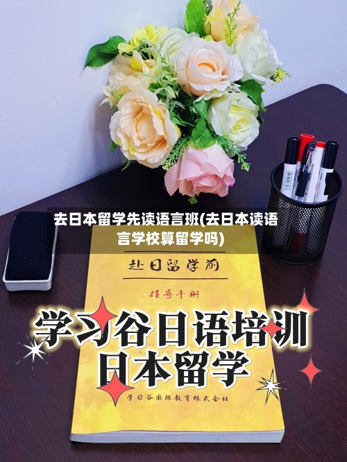 去日本留学先读语言班(去日本读语言学校算留学吗)-第3张图片