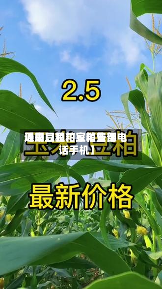 近来
【周口豆粕豆粕费用
周口豆粕厂家销售部电话手机】