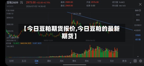 【今日豆粕期货报价,今日豆粕的最新期货】-第3张图片