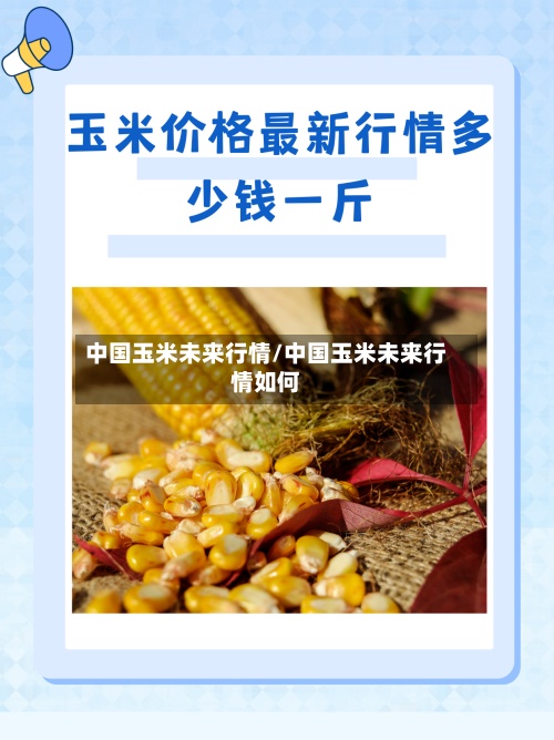 中国玉米未来行情/中国玉米未来行情如何-第2张图片