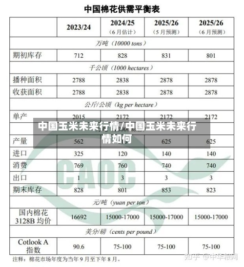 中国玉米未来行情/中国玉米未来行情如何-第3张图片