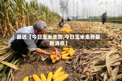 最近【今日玉米走势,今日玉米走势最新消息】