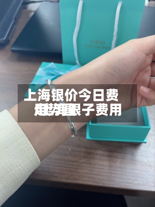 上海银价今日费用
/上海银子费用
走势图