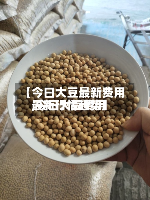 【今曰大豆最新费用
,今日大豆费用
最新行情趋势】-第3张图片