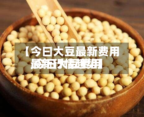 【今曰大豆最新费用,今日大豆费用最新行情趋势】