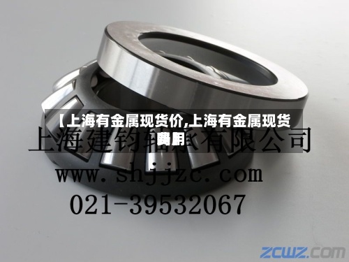 【上海有金属现货价,上海有金属现货费用
吗】-第2张图片