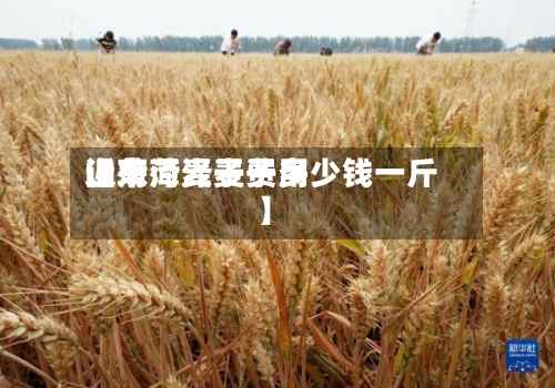 近来
【菏泽麦子费用
山东菏泽麦子多少钱一斤】-第2张图片
