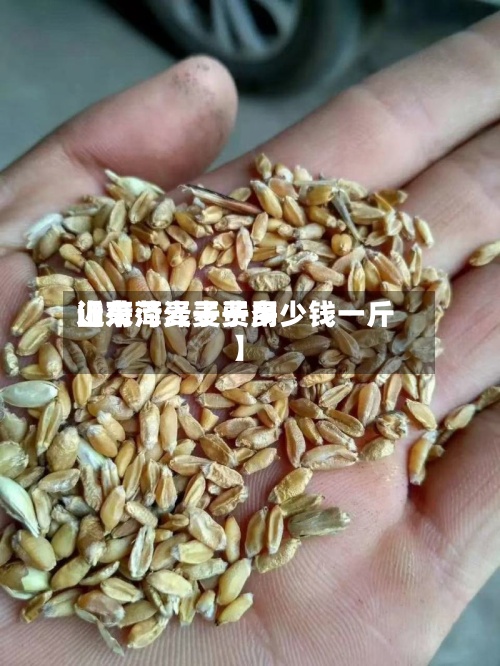 近来
【菏泽麦子费用
山东菏泽麦子多少钱一斤】