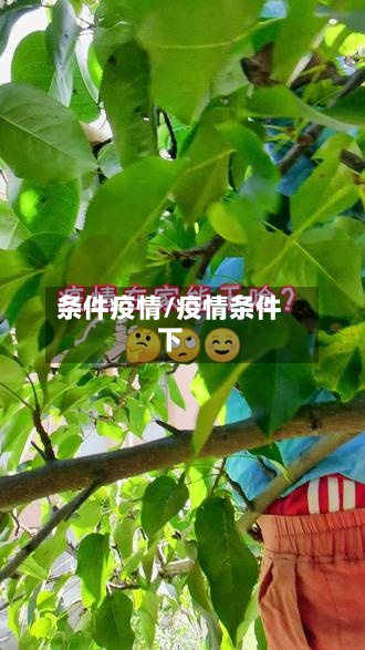 条件疫情/疫情条件下-第2张图片