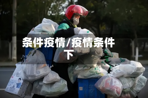 条件疫情/疫情条件下-第3张图片