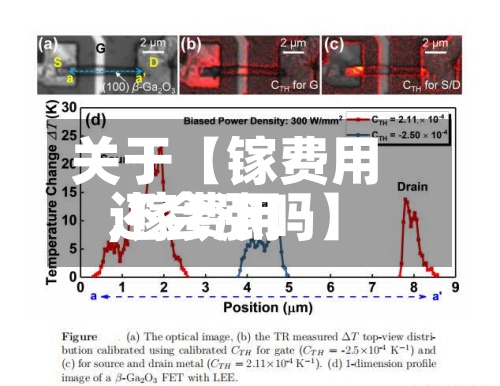 关于【镓费用
,镓费用
还会涨吗】-第3张图片