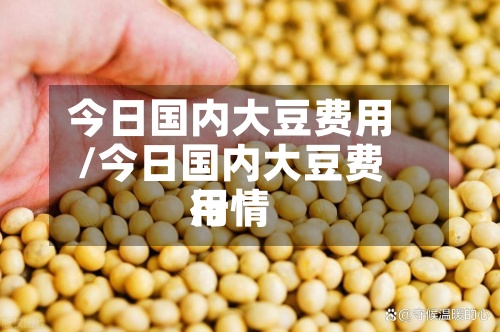 今日国内大豆费用
/今日国内大豆费用
行情-第2张图片