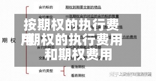 按期权的执行费用
/期权的执行费用
和期权费用