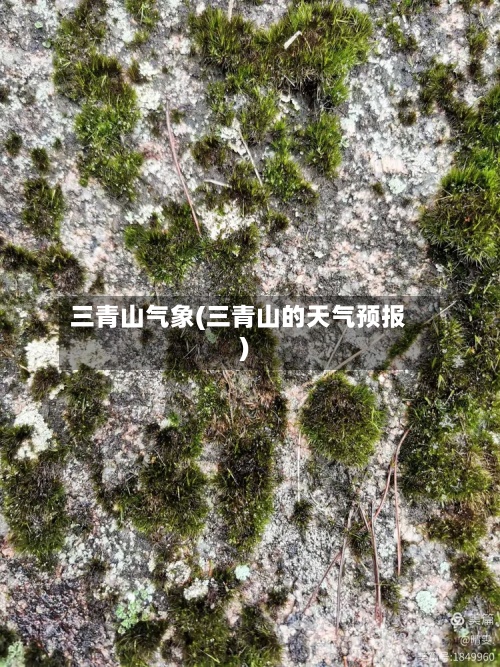 三青山气象(三青山的天气预报)-第2张图片