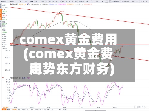 comex黄金费用
(comex黄金费用
走势东方财务)
