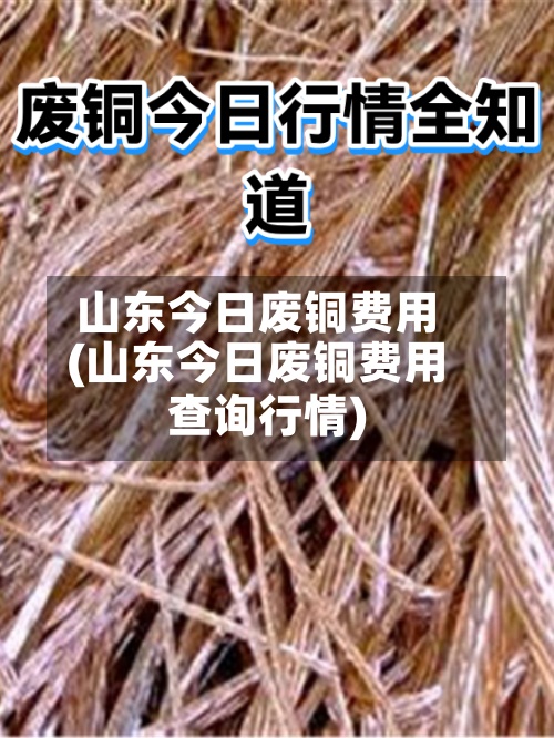 山东今日废铜费用
(山东今日废铜费用
查询行情)