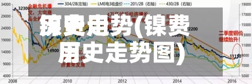 镍费用
历史走势(镍费用
历史走势图)