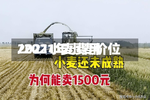 2021小麦费用
/2021年小麦价位-第2张图片