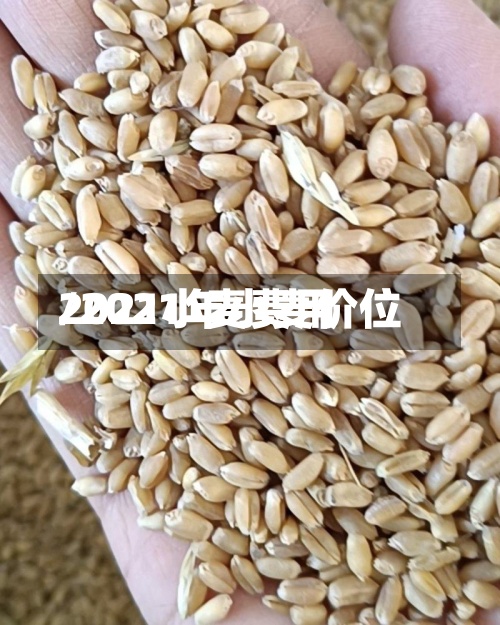 2021小麦费用
/2021年小麦价位