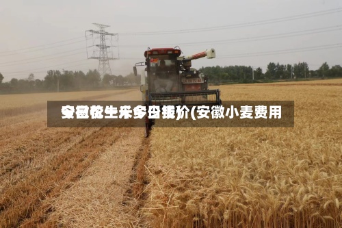 安徽花生米今日报价(安徽小麦费用
今日价一斤多少钱)-第2张图片