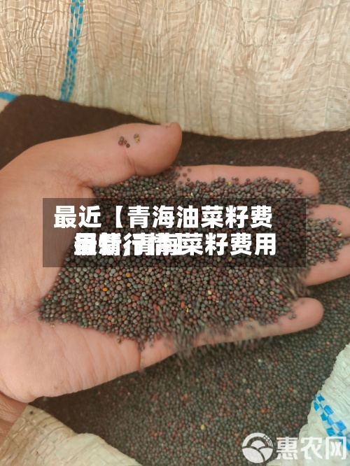 最近【青海油菜籽费用
行情,青海菜籽费用
最新行情】