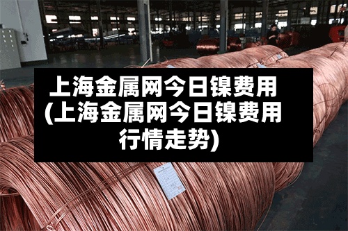上海金属网今日镍费用
(上海金属网今日镍费用
行情走势)