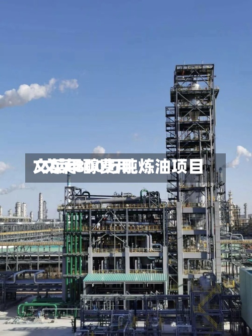 文莱甲醇费用
/文莱800万吨炼油项目-第2张图片