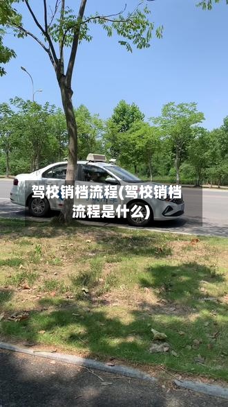 驾校销档流程(驾校销档流程是什么)