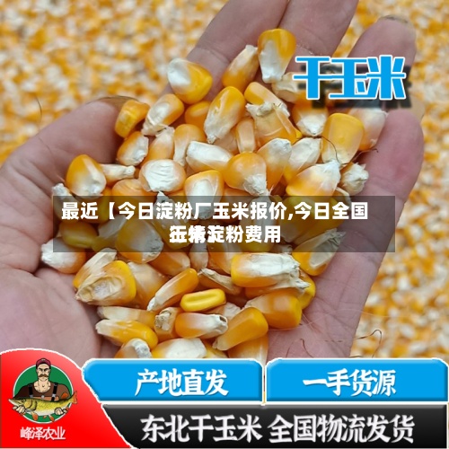 最近【今日淀粉厂玉米报价,今日全国玉米淀粉费用
行情】