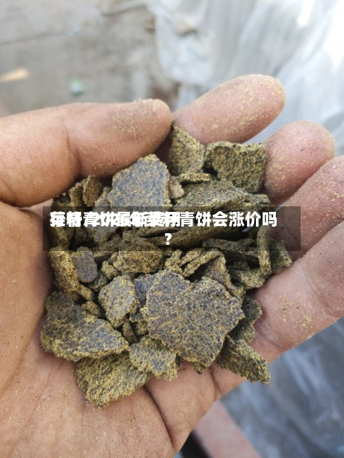 菜籽青饼最新费用
行情/2026年菜籽青饼会涨价吗?