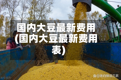 国内大豆最新费用
(国内大豆最新费用
表)