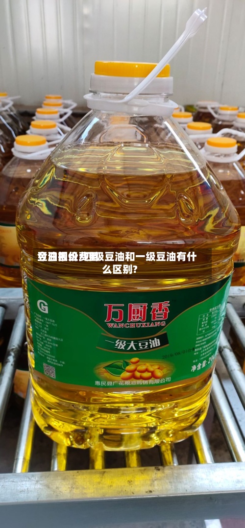 豆油四级费用
今日报价/四级豆油和一级豆油有什么区别?