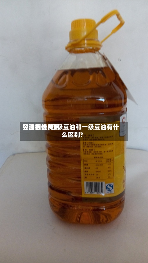 豆油四级费用
今日报价/四级豆油和一级豆油有什么区别?-第2张图片