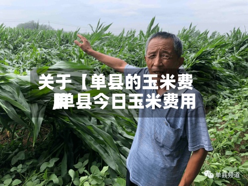 关于【单县的玉米费用
,单县今日玉米费用
】