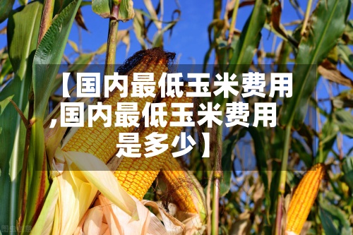 【国内最低玉米费用
,国内最低玉米费用
是多少】