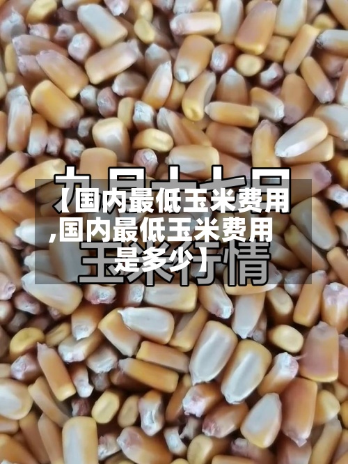【国内最低玉米费用
,国内最低玉米费用
是多少】-第3张图片