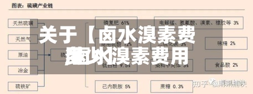 关于【卤水溴素费用,卤水溴素费用多少】-第3张图片