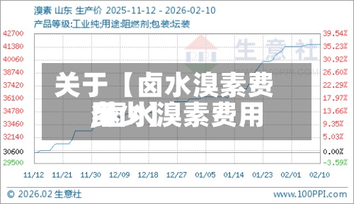 关于【卤水溴素费用,卤水溴素费用多少】-第2张图片